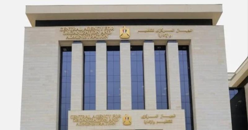 التنظيم والإدارة يتيح الاستعلام عن نتيجة القبول المبدئي للمتقدمين بمسابقة شغل وظائف بهيئة البريد 1 4870331730387225