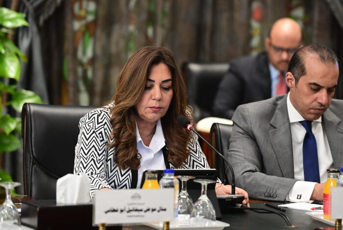 وزيرة التنمية المحلية: 41 % نسبة الاستثمارات بالصعيد في الخطة الاستثمارية الحالية 1 57627113009782024071706561356131729168743