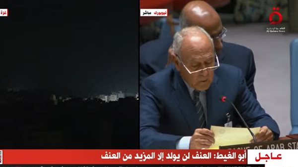 أبوالغيط: الاحتلال الإسرائيلي يستخدم القوة بشكل أرعن وليس لديه أي تصور عن الحل النهائي 1 7801728298807