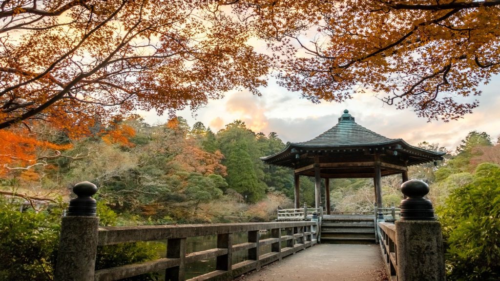 جلوبال (5): تجربة ماكاو الإصدار المحدود: رحلة ثقافية عبر القارات 1 Narita Japan1728328776