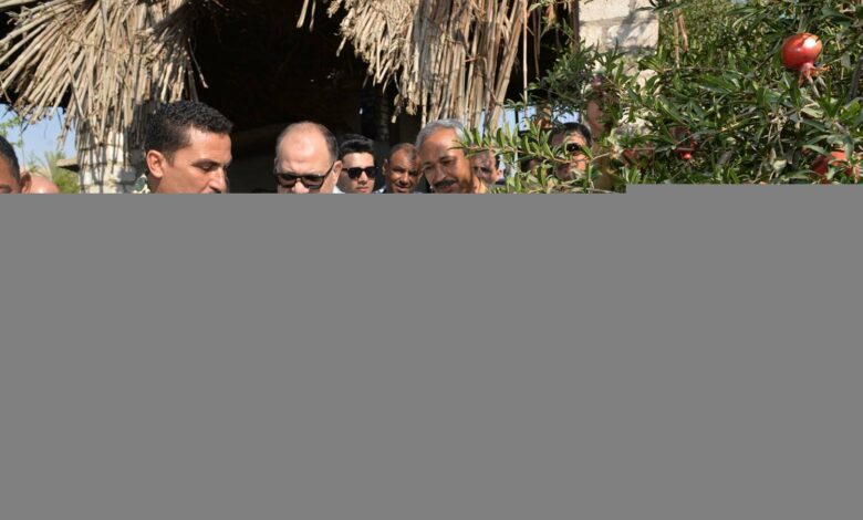 محافظ أسيوط يشهد حصاد محصول الرمان "الذهب الأحمر" بقرية بويط 1 elaosboa294181730017384
