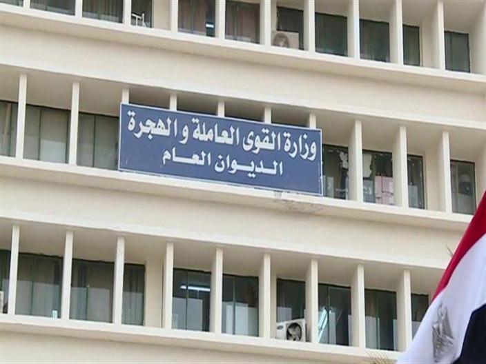 وزارة العمل تنظم ندوة توعوية بعنوان "المساواة بين الجنسين والتمكين الاقتصادي للمرأة" بالوادى الجديد 1 elaosboa490561728564003