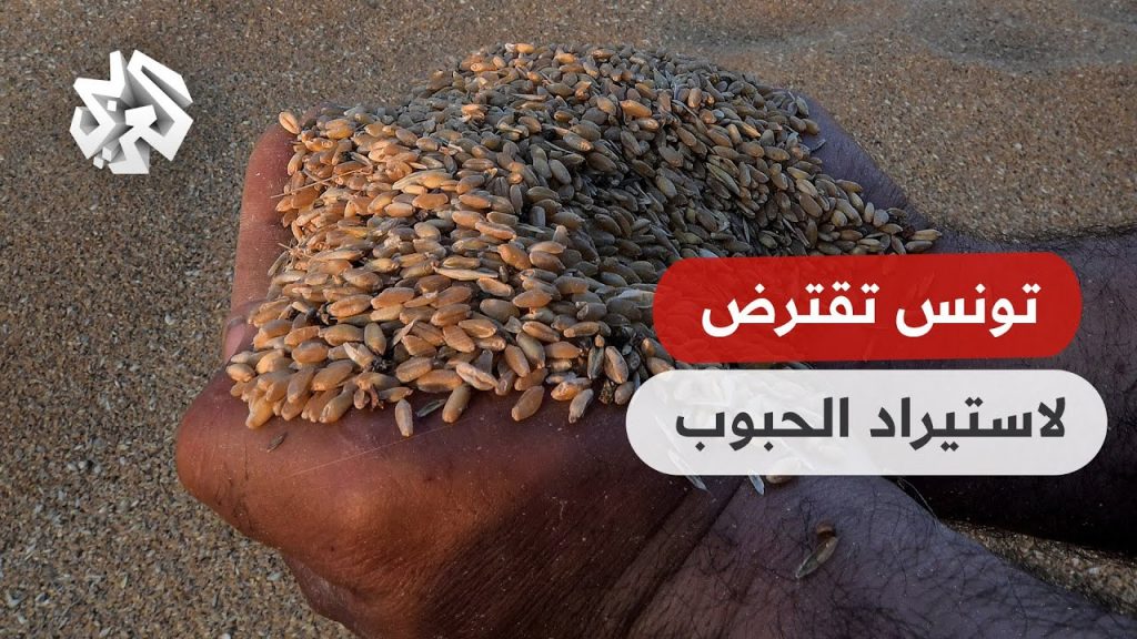 "الأفريقي للتنمية" يستهدف إضافة 120 مليون طن من الحبوب لمواجهة أزمة الغذاء بأفريقيا 1 maxresdefault1728122103