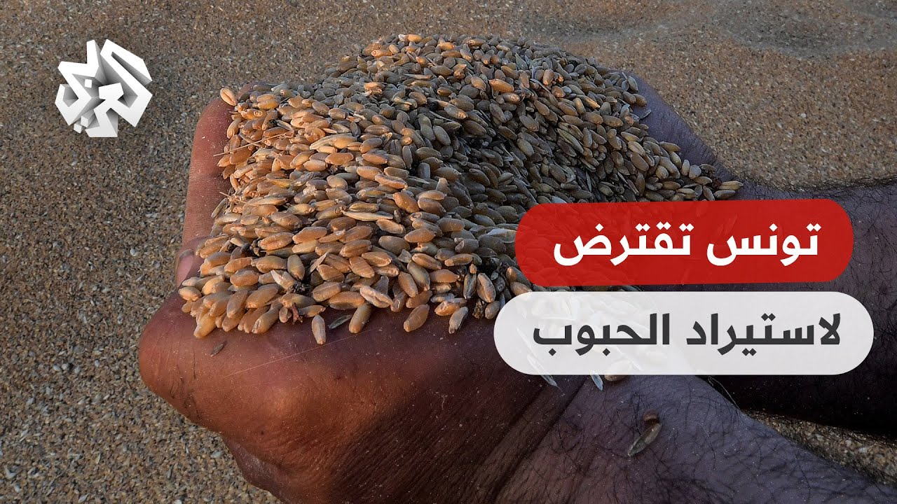 "الأفريقي للتنمية" يستهدف إضافة 120 مليون طن من الحبوب لمواجهة أزمة الغذاء بأفريقيا 1