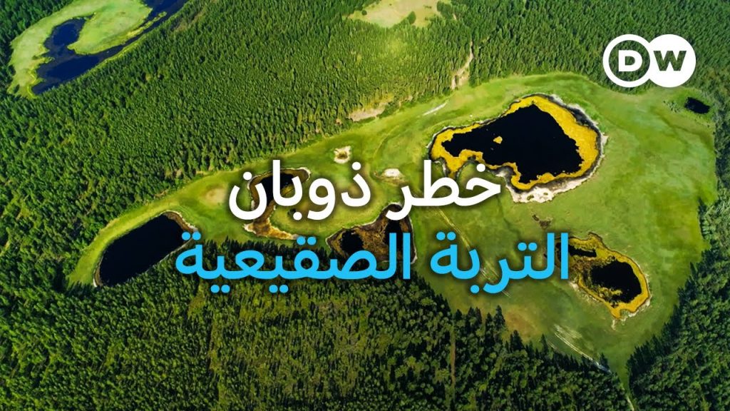 فيلم وثائقي: ذوبان التربة الصقيعية يهدد بعواقب وخيمة على الكوكب 1 maxresdefault1728553924