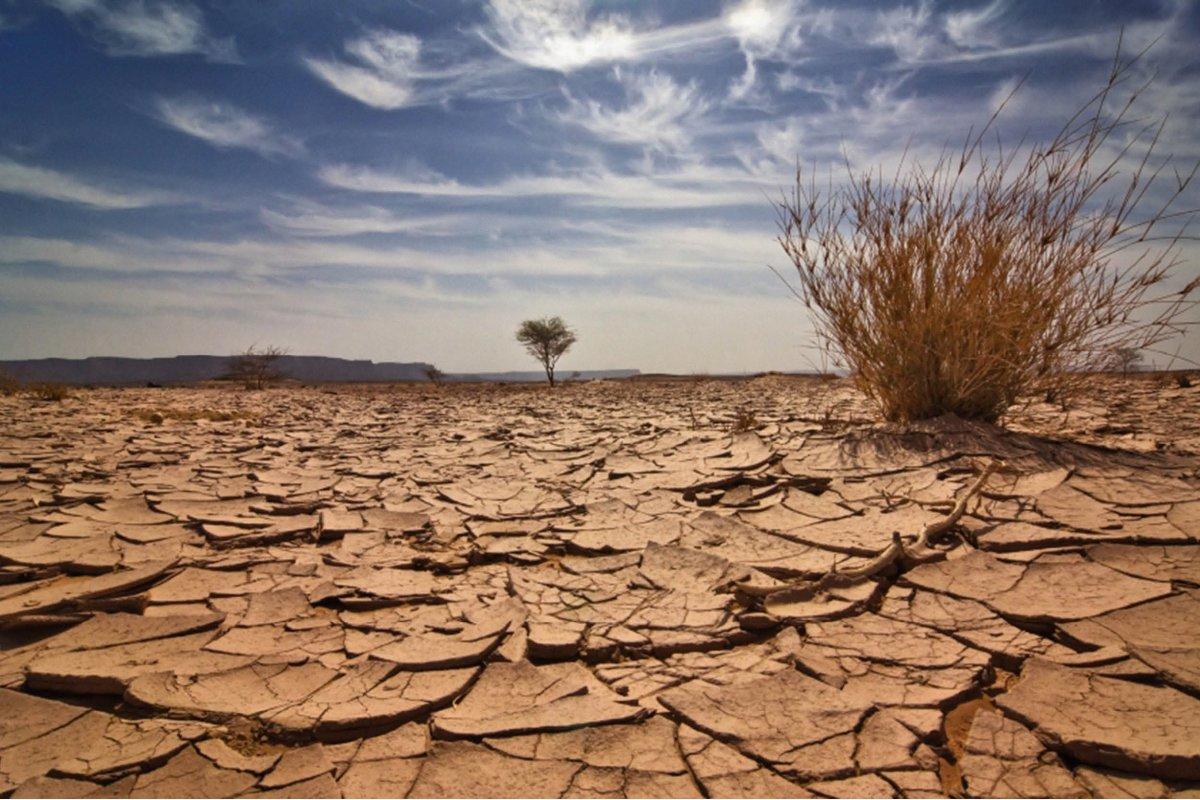 الجامعة العربية: الخسائر في الموارد الطبيعية وتدهور الأراضي يقوّضان مساعي تحقيق الأمن الغذائي في المنطقة 1 اسباب التصحر وتدهور الأراضي الزراعية منها1728465065