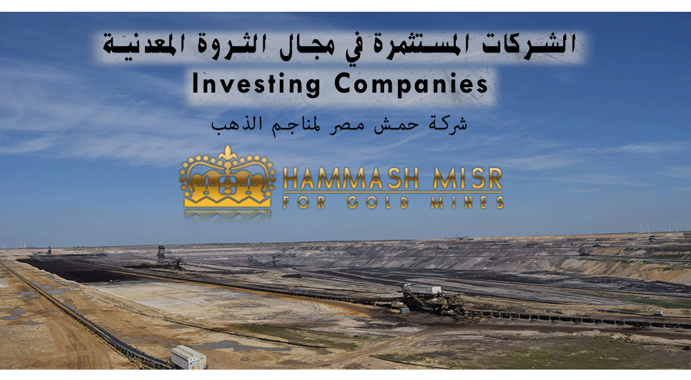 عاصم صديق لـ/أ ش أ/ : "حمش مصر" تتطلع لاستئناف إنتاج الذهب في 2025 لتعزيز الاقتصاد الوطني 1 0be14a5c 266f 4b53 b759 4919400b1c261732954863