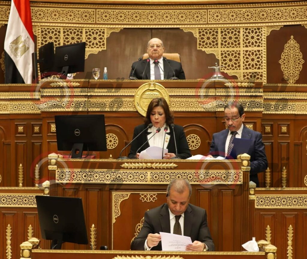 وكيلة الشيوخ تدعو إلى وضع مشروع وطني متكامل حول العملية التعليمية وتحدياتها 1 1081731322803