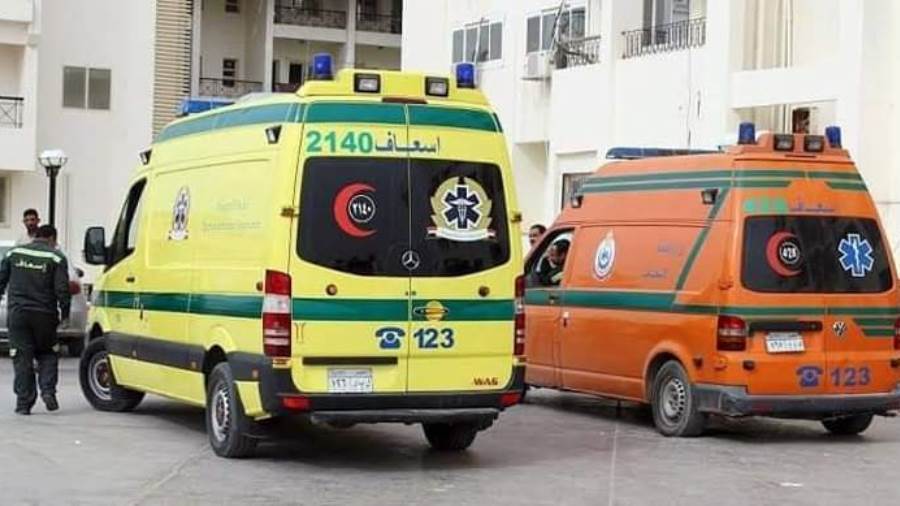 إنطلاق القافلة الطبية بقرية الجديدة في الوادي الجديد 1 10877641732455844
