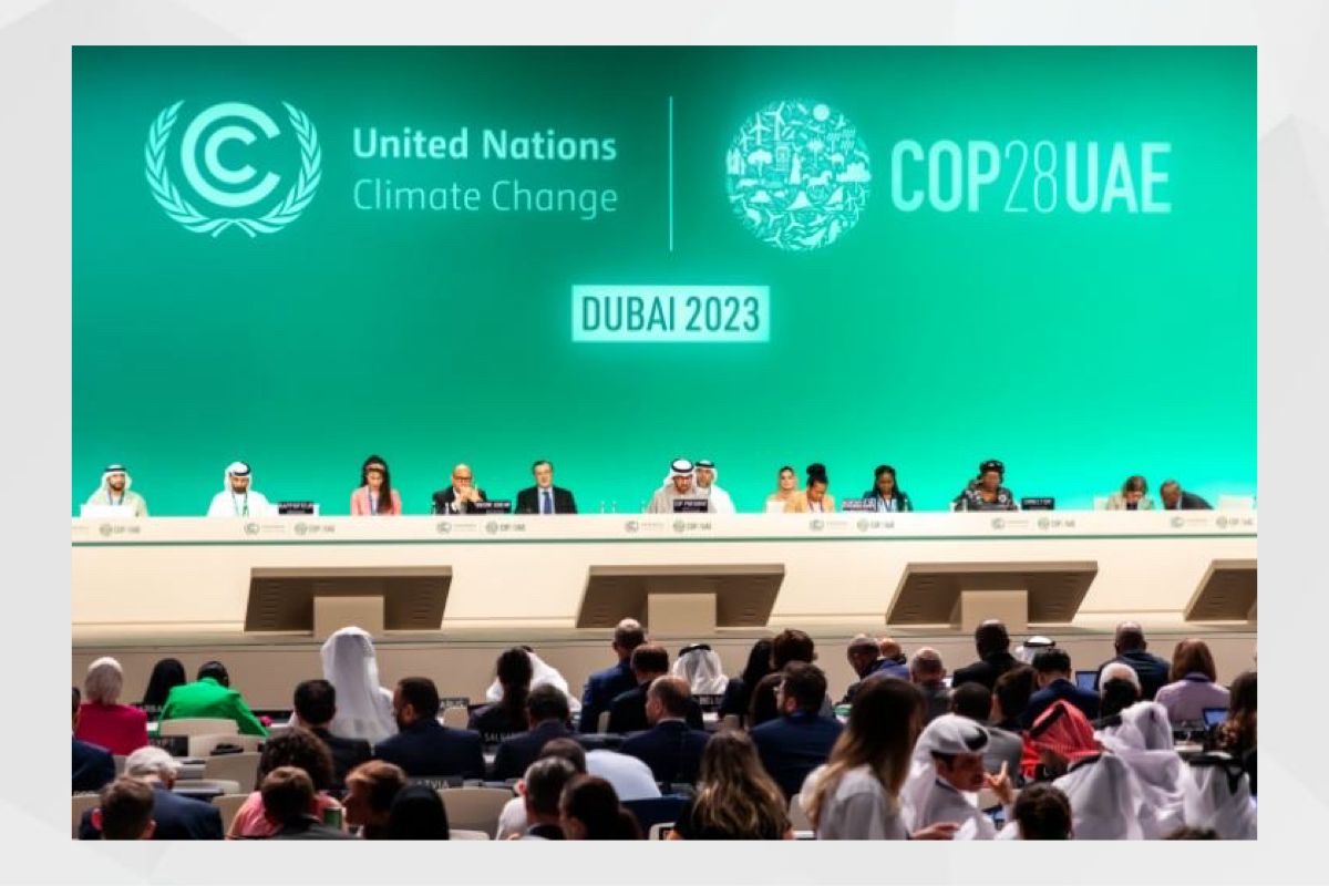 الإمارات في COP29.. جهود حثيثة لتحفيز التعاون العالمي وتسريع العمل المناخي المشترك 1 13 12 2023 UAE cop281731440643