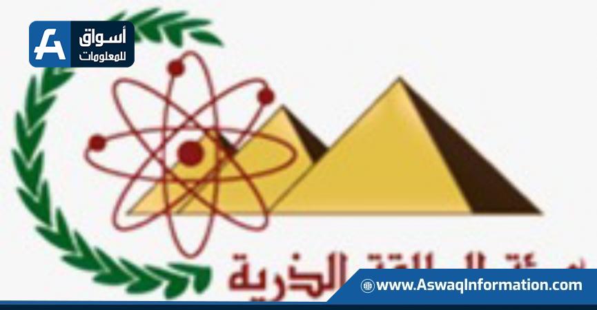 «هيئة الطاقة» تنظم دورة تدريبية عن تطبيقات النظائر المشعة للاستغلال الأمثل للأراضي المتأثرة بالملوحة 1 133529 W1732440964