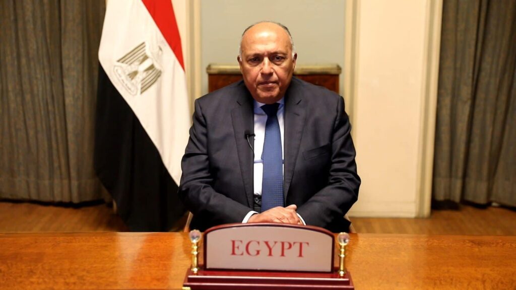 وزير الخارجية يؤكد حرص الحكومة المصرية على تعزيز التكامل الاقتصادي مع الدول الإفريقية 1 1660668929blobid01732290425