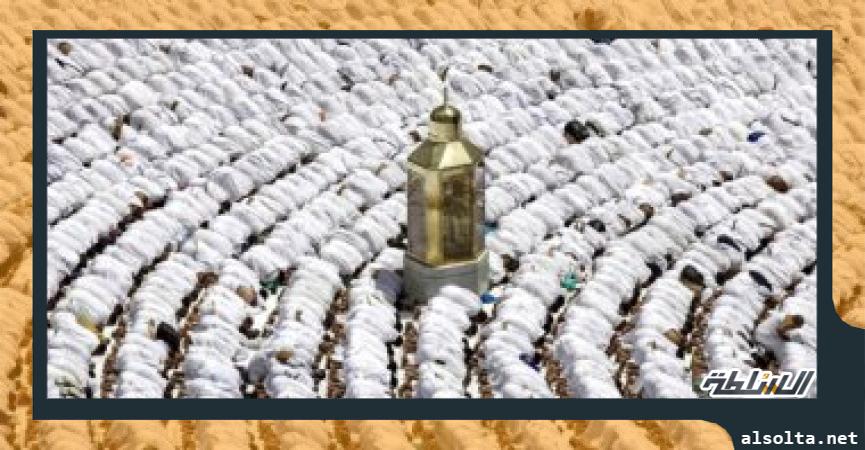 "الغرف السياحية": الكود التعريفي للحجاج يتيح تسجيل جميع بياناتهم لحمايتهم أثناء موسم الحج 1 254767 W1731400623