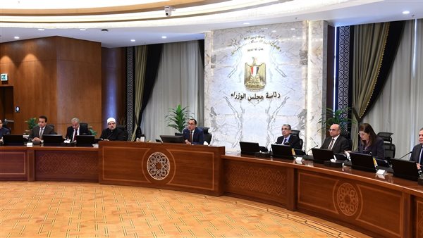 "معلومات الوزراء" يستعرض أبرز التجارب الدولية الرائدة عالميًا في مجال الصناعات الغذائية 1 5461732696625