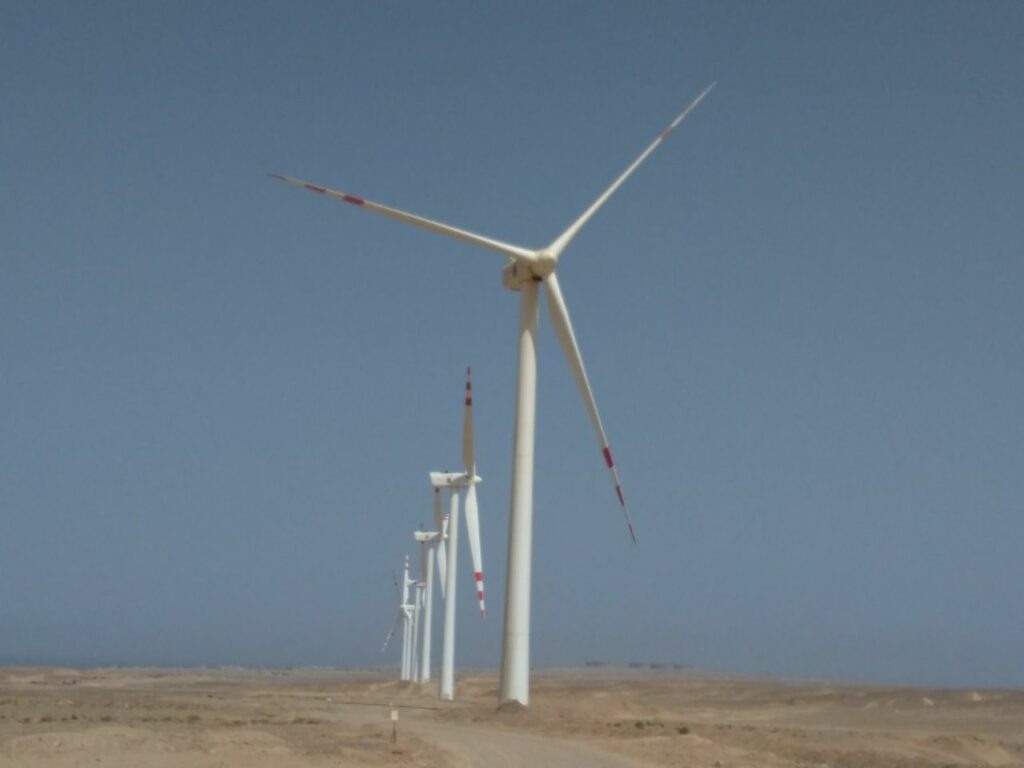 وزيرة التخطيط تدعو لرصد أثر مشروعات طاقة الرياح على الطيور المهاجرة بمنطقة خليج السويس 1 6534a8436e907efb0ced99edd8d024351731427743