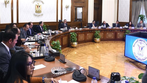 مدبولي: مشاركة مصر في قمة "العشرين" يعكس التقدير لمكانتها ضمن التكتلات الدولية .. إضافة 4 1 7711732117147