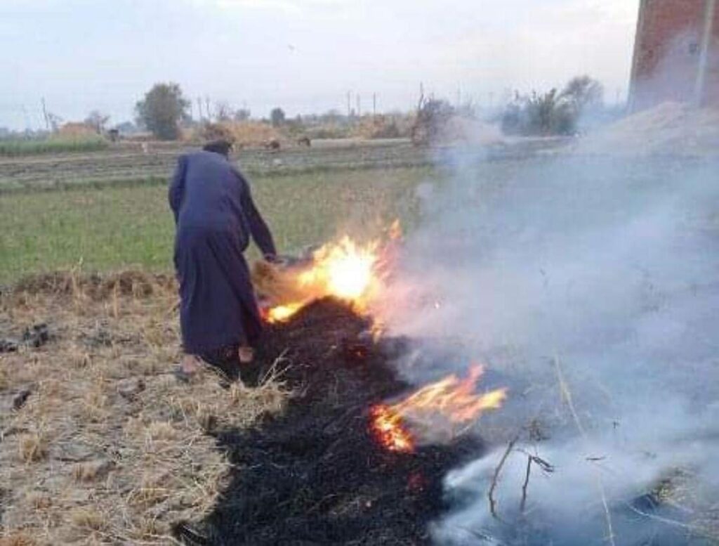الشرقية: تحرير 780 محضرا لحرق قش الأرز لمواجهة السحابة السوداء 1 WhatsApp Image 2022 10 26 at 71731088504