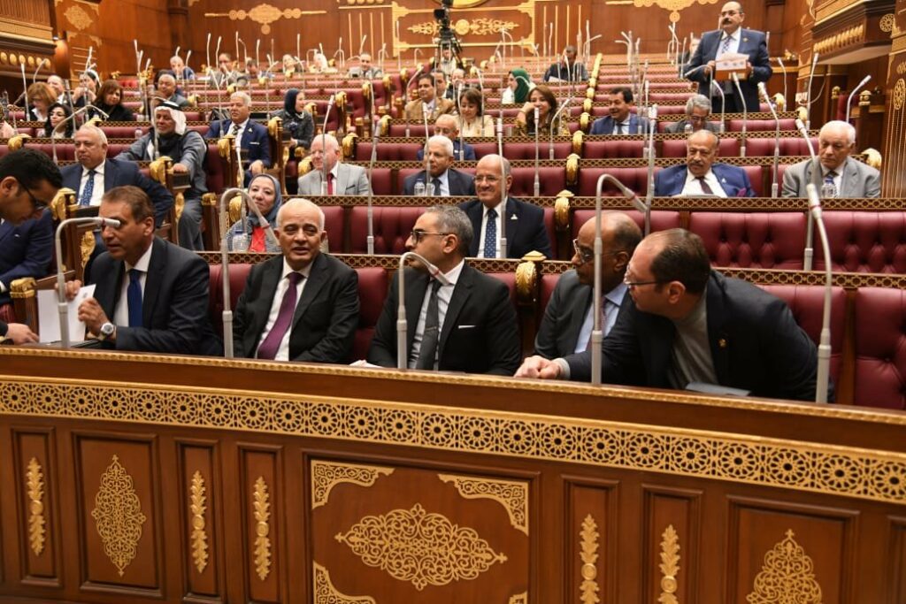 أمام مجلس الشيوخ وزيرالتعليم يعرض رؤية وخطة الوزارة لتطوير المنظومة التعليمية 1 elaosboa362191731329583
