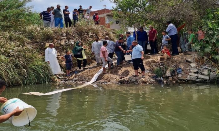 محافظ الدقهلية:نستهدف إلقاء 4 ملايين و250 ألف وحدة من زريعة الأسماك في نهر النيل 1 elaosboa741281732449903