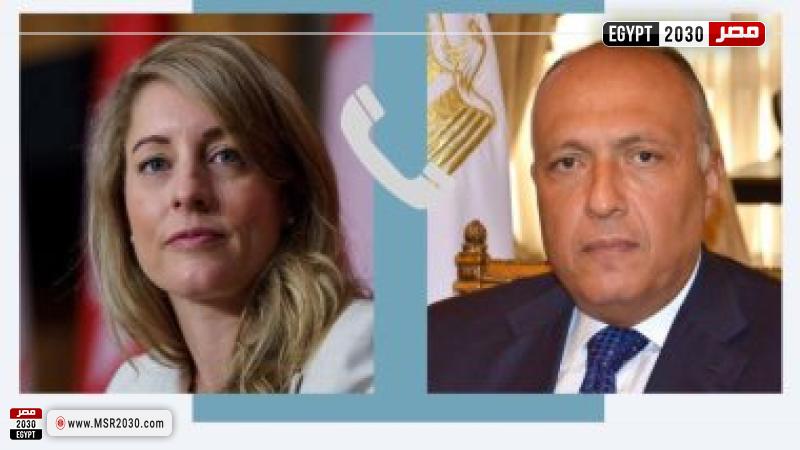 بناء على توجيهات الرئيس السيسي .. اتصالات مكثفة لوزير الخارجية والهجرة لمتابعة التطورات في سوريا 1 272690 W1733393163