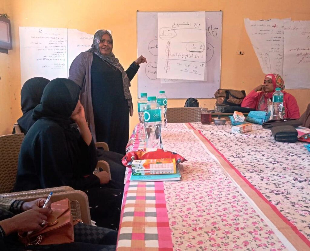 القومى للمرأة بأسوان يستكمل تنظيم برنامج جلسات الدوار للتوعية المجتمعية 1 4431733573704