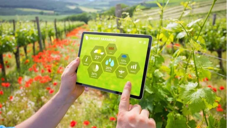 مصر تدعم التكنولوجيا والابتكار في الزراعة خلال المؤتمر الدولي الإفريقي الثالث للزراعة الدقيقة 1 d8a7d984d8b2d8b1d8a7d8b9d8a9 d8a7d984d8b0d983d98ad8a9 d988d8a3d8b9d984d8a7d981 d8b7d8a8d98ad8b9d98ad8a9 d988d8aad983d986d988d984d988 63eb9de4164311733211724